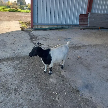 A La Ferme Chez Christian * Escaudoeuvres