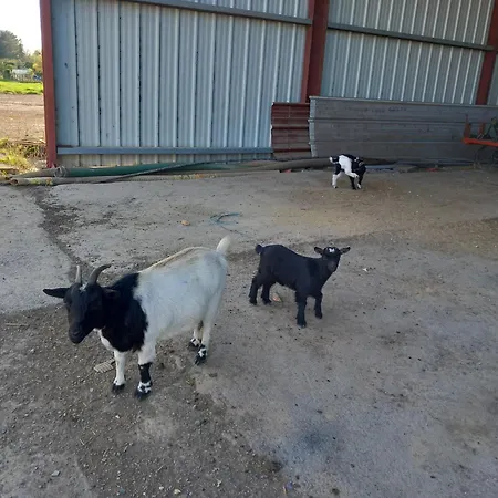 A La Ferme Chez Christian *