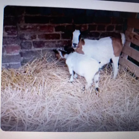 A La Ferme Chez Christian Bauernhof