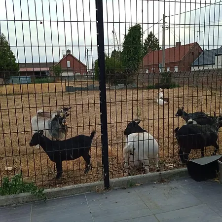 A La Ferme Chez Christian Escaudoeuvres